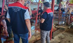 Nazilli'de ilk kez uygulandı, vatandaşlardan tam not aldı
