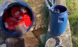 Plastik kutularda 21 cenin bulundu