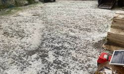 Karacasu beyaza büründü