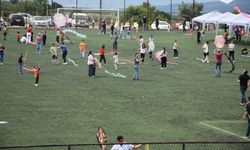 Karacasu'da gökyüzü renklendi: 19 Mayıs coşkusu uçurtmalarla kutlandı