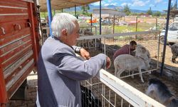Karacasu'da 66 yaşındaki üretici: "Sesimizi duyan yok, seçimden seçime gelip gidiyorlar"