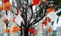 Kuşadası'nda 'Dilekler' denize emanet edilecek