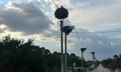 Leyleklerin memleketi: Çakırbeyli