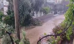 Didim’de sağanak yağış etkili oldu