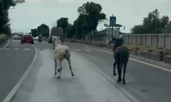 Nazilli’de trafiği kestiler: Sürücüler zor anlar yaşadı