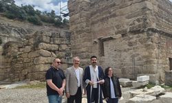 Siyasetteki başarısını akademiye taşıdı