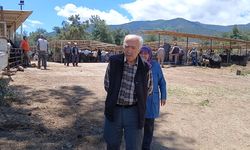 Tüketici de üreticiyi haklı buluyor: "Bu hayat pahalılığına göre ucuz bile"