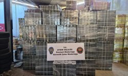 Sultanhisar'da şok baskın: 1 milyonluk vurgun ortaya çıktı