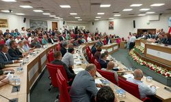 Germencik’teki parkların yetkisi meclisi gerdi