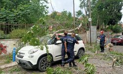 Aydın'da şiddetli rüzgar etkili oldu