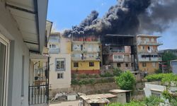 Aydın'da alevler yükseldi: Ekipler seferber oldu