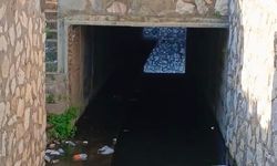 Sultanhisar'da alt geçide düşen yaşlı kadın yaşam savaşı veriyor