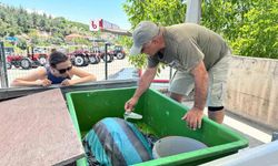 Yaralı Caretta caretta’ya yardım eli uzandı