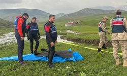 Kayıp olarak aranan kadının cansız bedeni derede bulundu