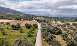 Yeniköy Mahallesi’nde yol ve taş duvar çalışmaları devam ediyor