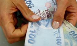 Karar Resmi Gazete'de: Birikimini getirene 20 yıl vergi yok