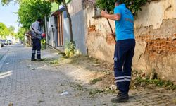 Efeler Belediyesi’nden sokaklarda temizlik çalışması