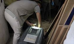 Aydın’da oklu kirpi operasyonu