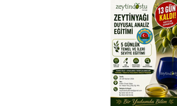 Didim’de Zeytinyağı tadım uzmanları yetişiyor