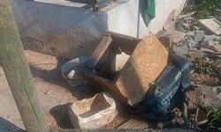 Akbük’te Besleme odaklarına vandalizm ve yaban domuzu tehdidi