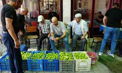 Aydın’da ilek pazarında fiyatlar her saat değişiyor