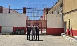 Aydın'da iki firari hükümlü cezaevine gönderildi