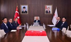Aydın'da sahipsiz hayvanlar için kritik zirve