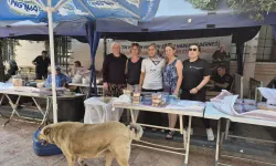 Aydın'da sokak hayvanları için kermes düzenlediler