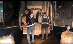 Aydın’da zehir operasyonu