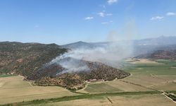 Aydın’da zeytinlik alanda yangın: Havadan ve karadan müdahale ediliyor
