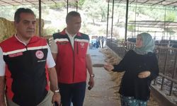 Aydınlı kadın girişimci, hayalini gerçeğe dönüştürdü