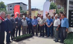 Buharkent’te üreticilere 38 bin domates fidesi