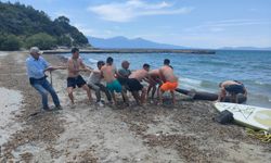 Camgöz köpekbalığı Kuşadası'nda plaja vurdu