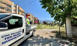 Çine Belediyesi, halk sağlığı için sahada