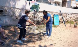 Didim'de caretta caretta seferberliği