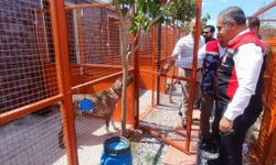 Didim’deki Can dostlara üst düzey denetim