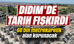 Didim'de tarih fışkırdı: 60 bin metrekarelik alan korunacak