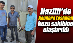 Nazilli’de kapılara toslayan kuzu sahibine ulaştırıldı
