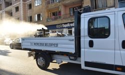İncirliova Belediyesi'nde müzik eşliğinde ilaçlama
