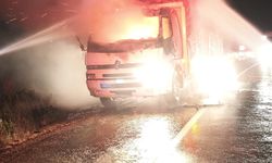 Karacasu'da seyir halindeki kamyonun kupası küle döndü