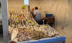 Kuşadası Belediyesi'nden 'Tarihi Balık Hali'ne modern dokunuş