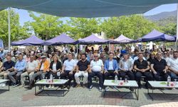 Kuşadası 'Kiraz Festivali' kapılarını karnaval havasında açtı