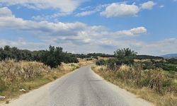 Kuyucak'taki tarihi yolda yangın ve trafik tehlikesi
