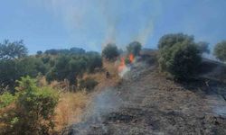 Nazilli Belediyesi ekipleri de yangına müdahale ediyor