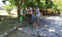 Nazilli’de belediye ekipleri sahaya indi