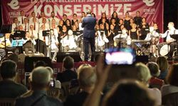 Pınarbaşı’nda yaz konseri ilgi gördü