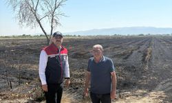 Söke'de buğday tarlaları küle döndü