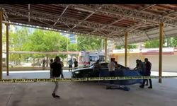 Söke'deki yasak aşk infazına iki tutuklama