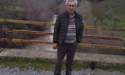 Aydın’da acı olay: Zeytinlikte ölü bulundu