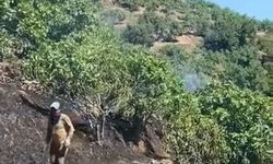 Yemek ısıtmak isterken yangına sebep oldu: Nazilli'de incir bahçesi küle döndü